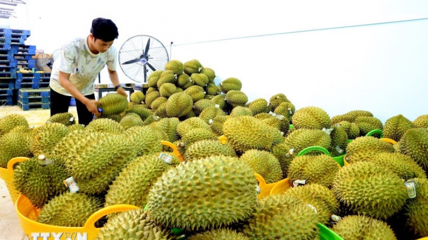 Vietnam, China bolster cooperation in agricultural trade
